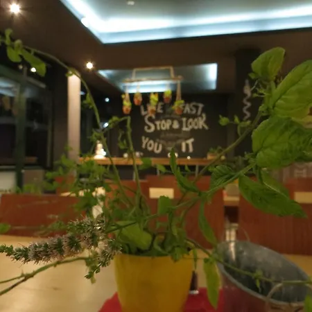 Leonidaion Vendégház Olümpia