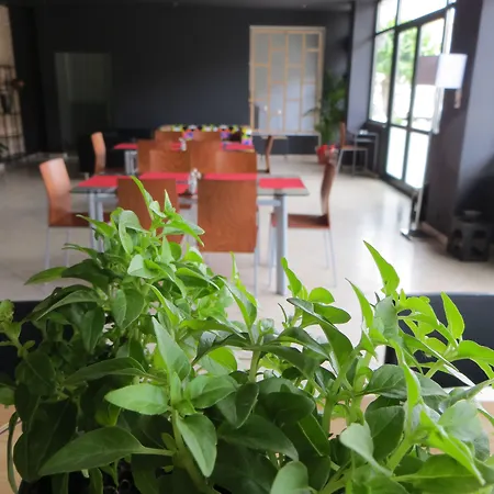 λεωνιδαίον 3* Ολυμπία