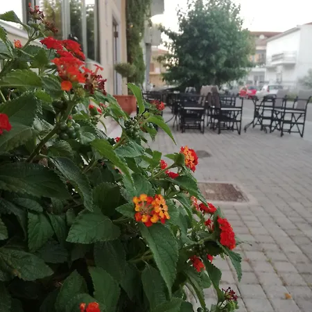 Pensjonat Leonidaion Ancient Olympia