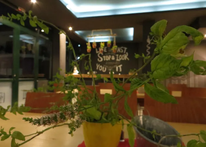 Maison d'hôtes Leonidaion 3*